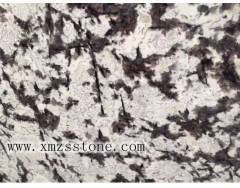 Frost Flower, Imported Granite Stone slabs