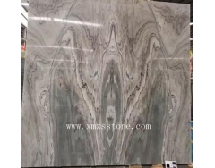 Book Match China Palisandro Blue Marble slabs