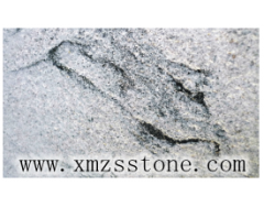 China granite Viskong White