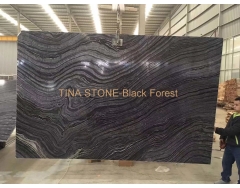 Black Forest  ,Marble  Slabs  , Tiles Floor Wall