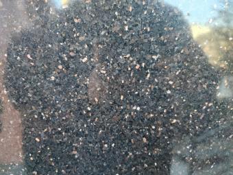 Black Galaxy